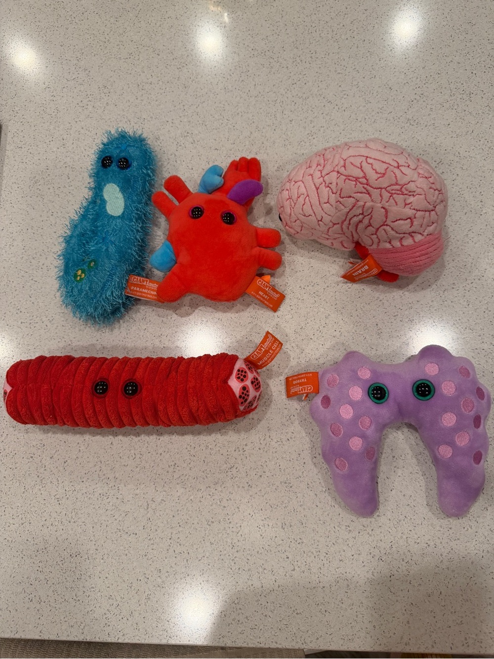 Giant Microbes Plushies Bundle:Brain, Heart, Muscle Cell, Thyroid, Paramecium)
